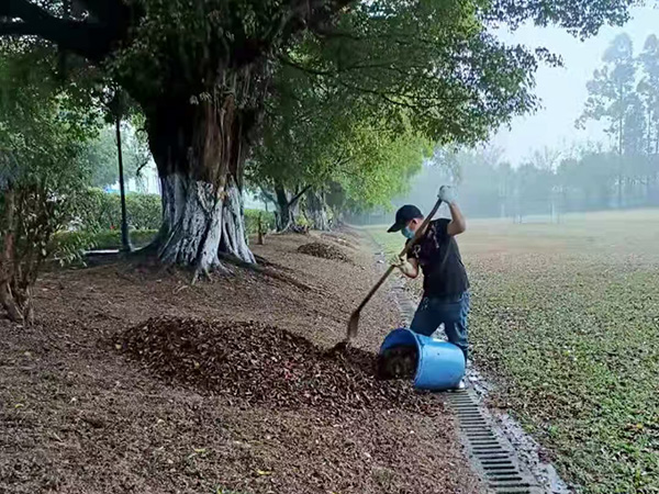 日常保潔精心服務，守護家居整潔的每一天